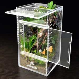 Acrylic Jumping Spider & Insect Habitat – Bug, Mantis 6" Enclosure. Magnetic NEW